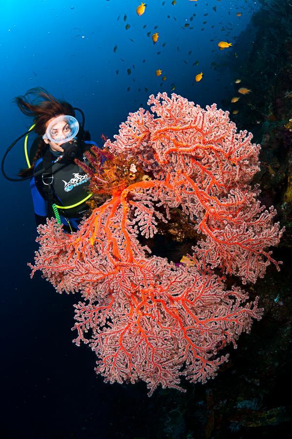 Benthos Bali Dive Resort Candidasa Exterior foto